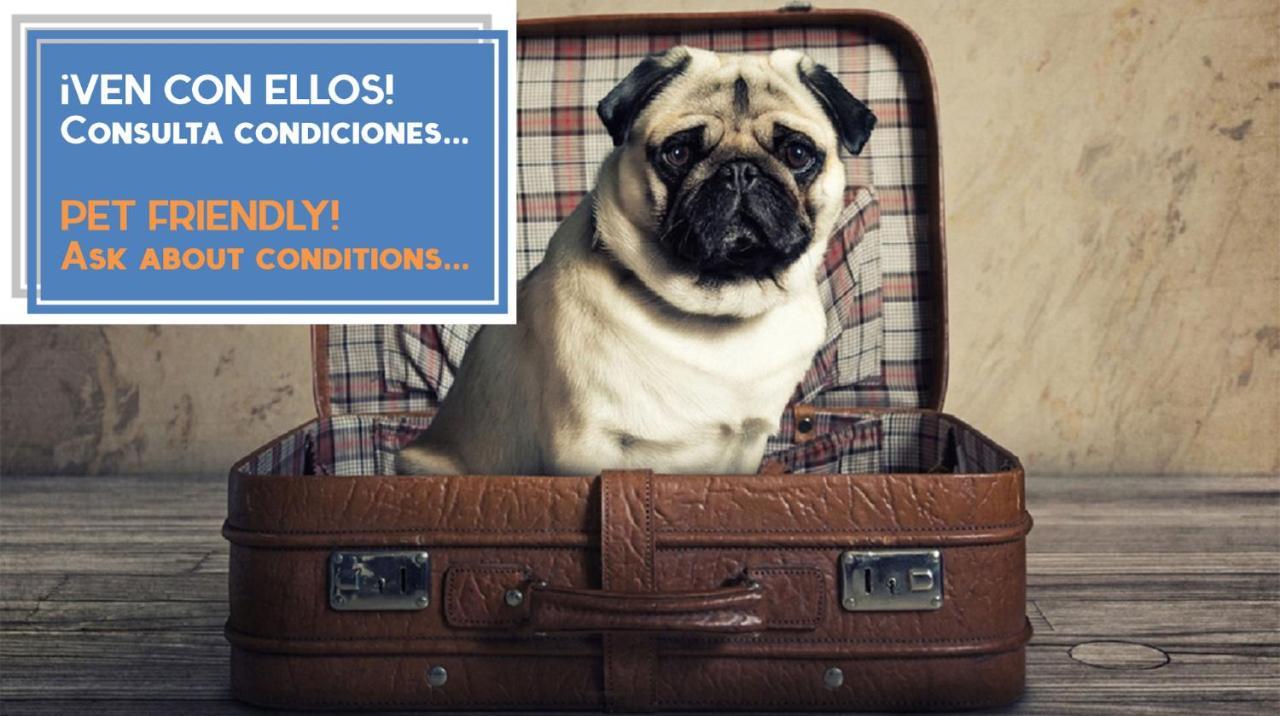 ático Del Romántico Gaditano Cádis